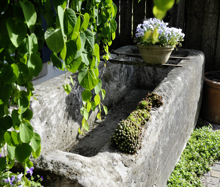 Brunnen