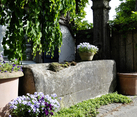 Brunnen