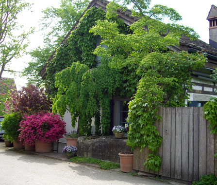 Schaugärten